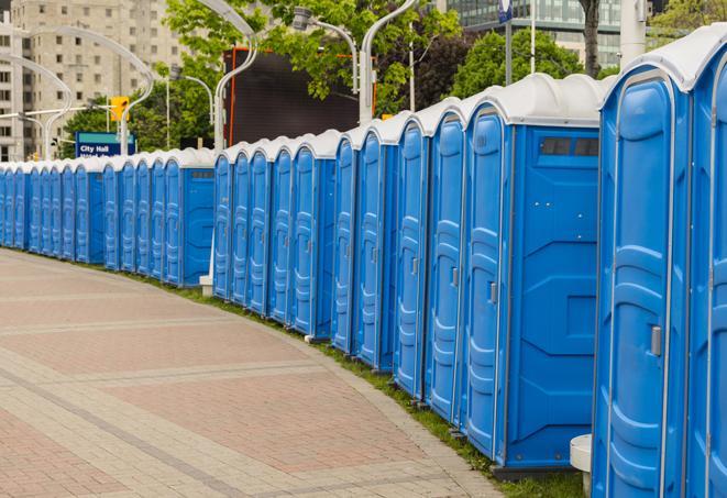 Seasonal porta potty units set up at a Detroit, Michigan venue